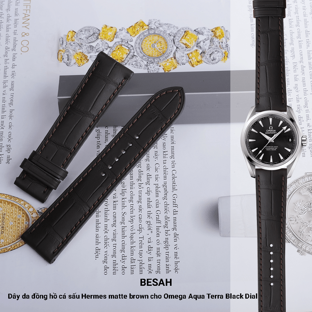 Omega Aqua Terra Black Dial